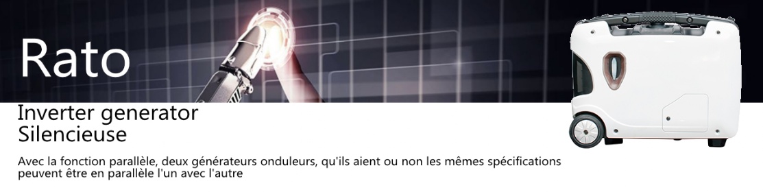 génératrice 220V / 1100 Watt portatif génératrice 220V